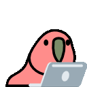 bird