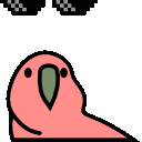 bird